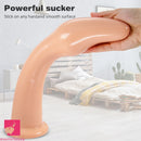 14.7in Huge Snake Long Animal Exotic Suction Cup Female Dildo