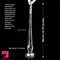 15.74in 19.68in Extra Long Huge Clear Measurable Scale Plug Dildo