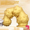 6.7in 9.84in 13.38in Gold Silicone Animal Octopus Big Butt Plug Dildo